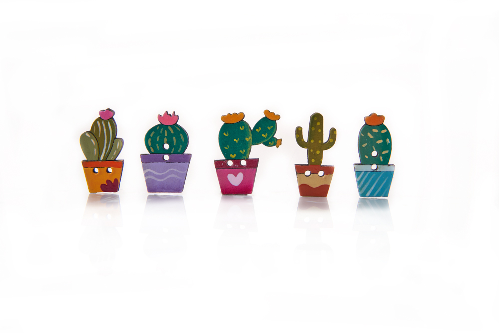 CACTUS DE COLORES