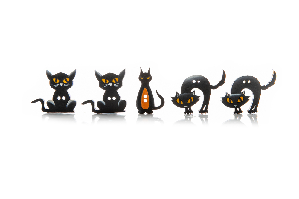 GATOS DE LA NOCHE